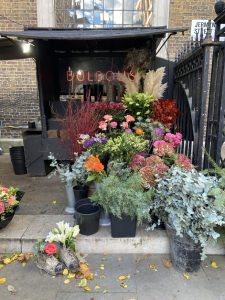 mała budka z kwiatami