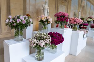 bukiety róż wyeksponowane na podestach