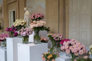 bukiety róż wyeksponowane na podestach